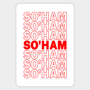 So'Ham Soham Meditation Mantra Funny Hindu Yoga Meme Hindi Thank You Magnet